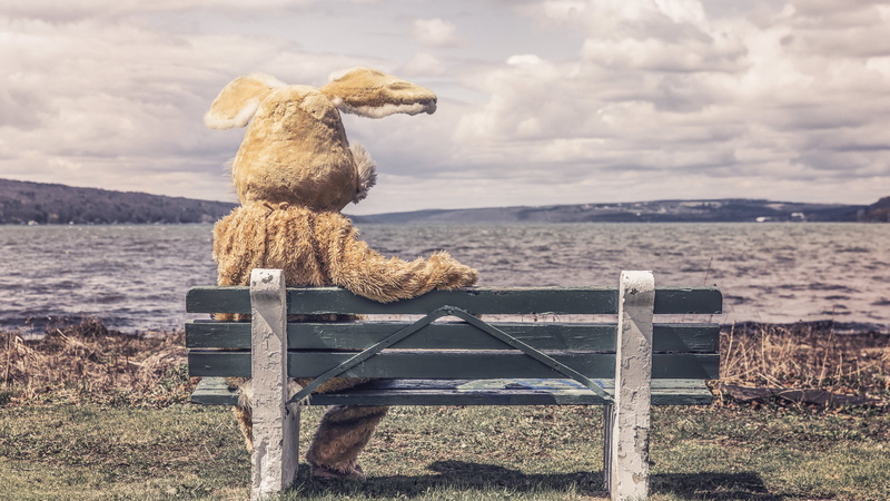 4K, river, sky, bench, Bunny Suit