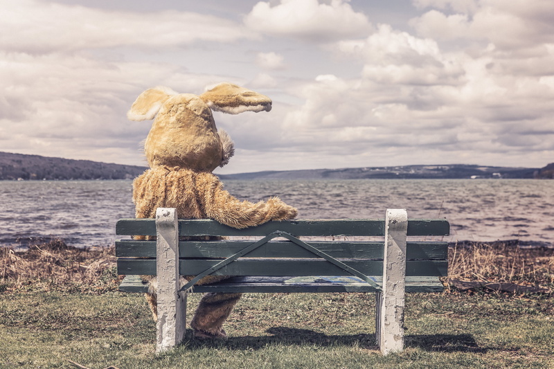 beauty in nature, mammal, animal representation, stuffed toy, Bunny, land, day, wood - material, outdoors, toy, teddy bear, sky, water, seat, tranquility