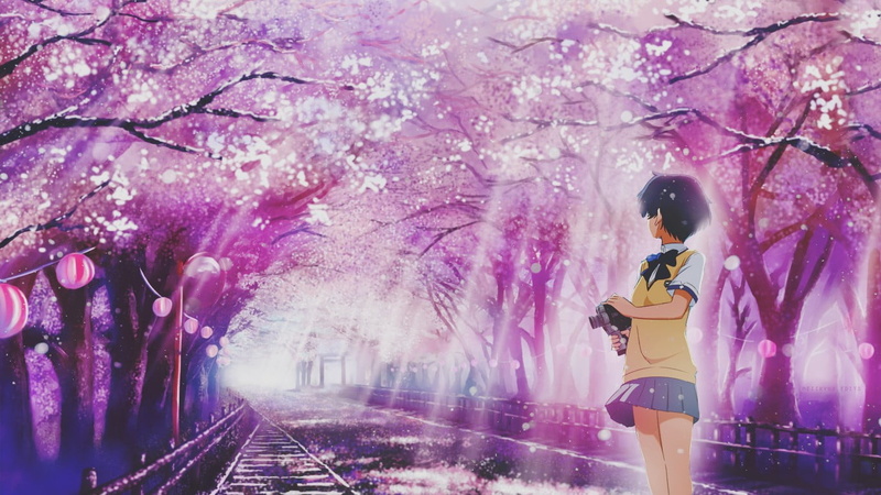 springtime, Waiting in the Summer, young women, women, pink color, 720P, tree, growth, adult, cherry blossom, Ano Natsu de Matteru, flower, side view
