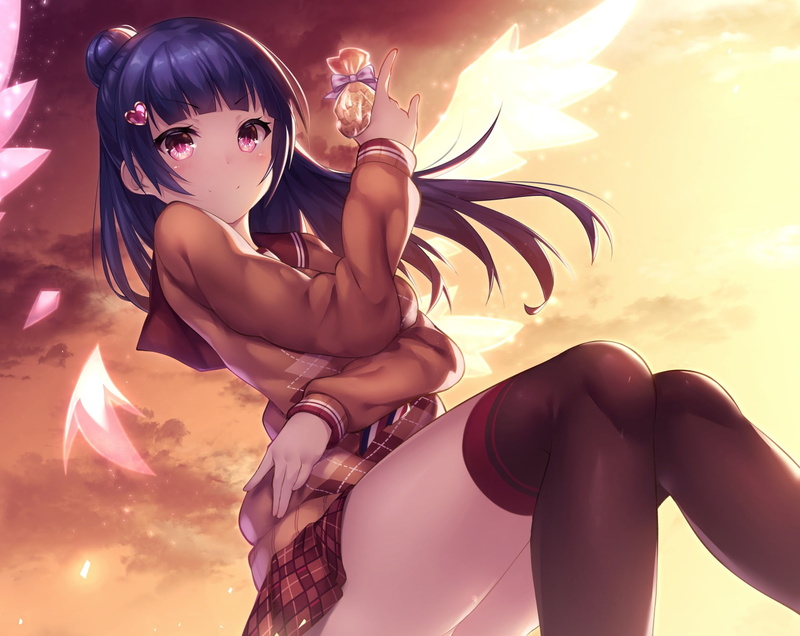 kokkeina, wings, sunshine!!, panties, eyes, live!, 720P, budou, yoshiko, hair, long, valentine, love, thighhighs, seifuku, tsushima, skirt, konachan, purple