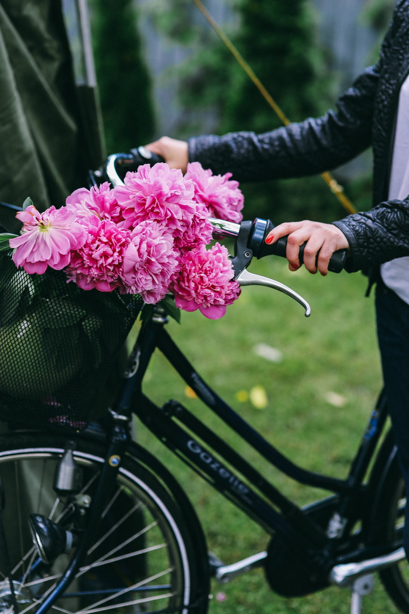 fragility, holding, basket, day, bicycle, flower head, freshness, land vehicle, nature, beauty in nature, bicycle basket, beautiful, pink, flowering plant