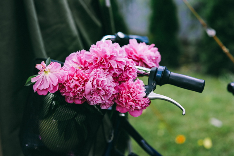 bottle, holding, summer, wine bottle, freshness, bicycle, bouquet, outdoors, basket, flora, close-up, beauty in nature, no people, plant, fragility, container