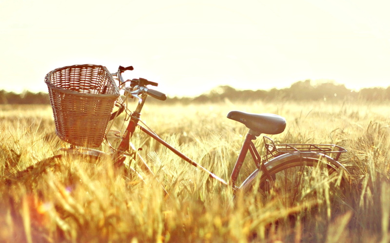Sunny day, landscape, sky, sunset, brown, HD, rural scene, tranquil scene, land, nature, wheat, no people, step, land vehicle, bike, mood, agriculture