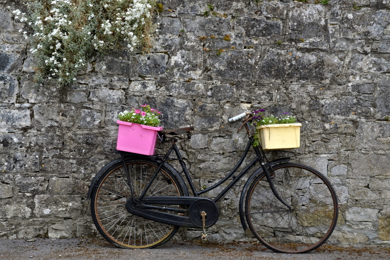 Wheel, wall - Building Feature, Nostalgia, nature, flower, mode of transportation, transportation, built structure, retro, architecture, 4K, cycle, stone wall