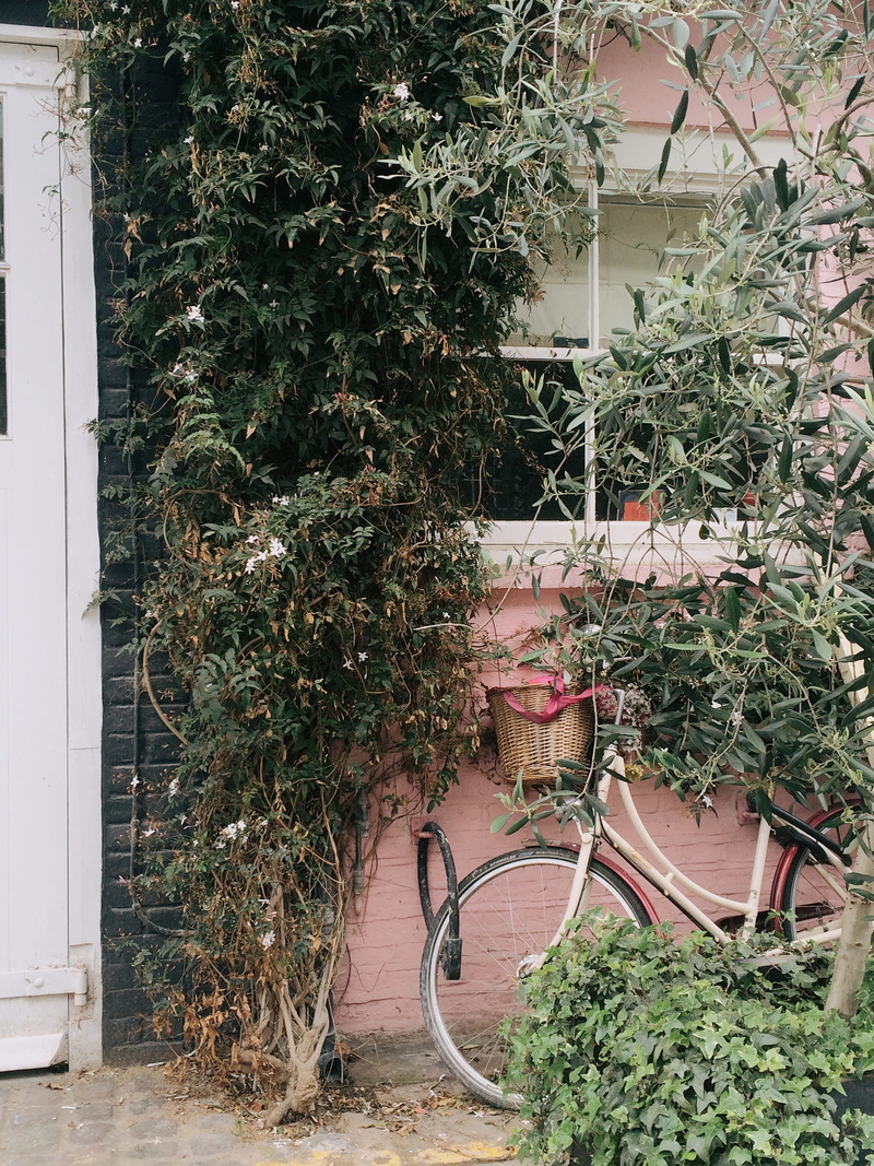 building, house, built structure, architecture, basket, green, white, 2K, plants, nature, wall, potted plant, tree, door, near, leaved, garden, green color