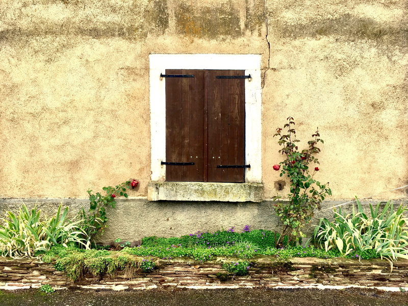 shutters, day, window, plant, safety, no people, nature, outdoors, growth, security, vintage, door, house, built structure, residential district, building exterior