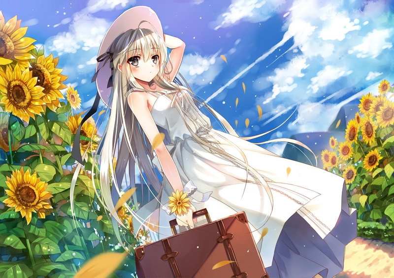 1080P, yosuga no sora