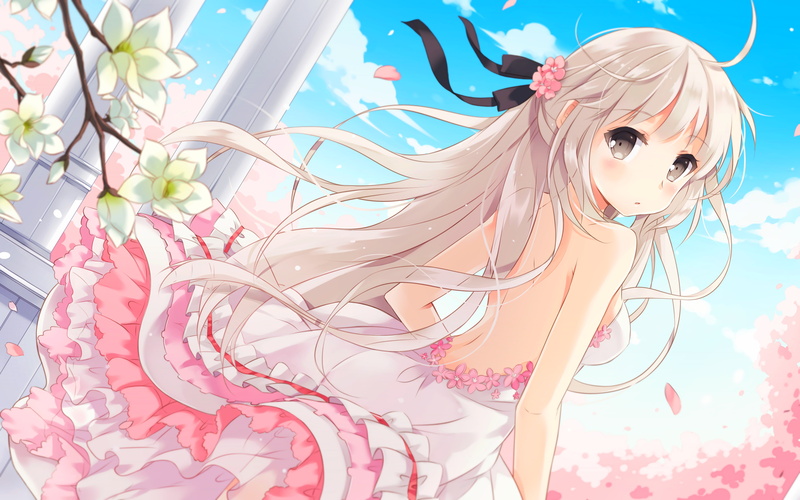 Sora Kasugano, Girl, Dress, Spring, White Dress, Cherry Blossom, Yosuga No Sora, Flower, Anime, 4K