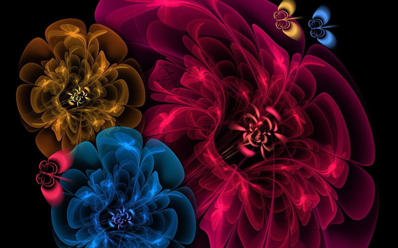 background, black Color, exploding, decoration, abstract, still life, backgrounds, illuminated, floral, photographic Effects, elegance, flower head, dark