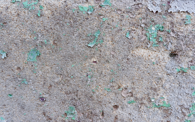 close-up, word, architecture, full frame, pollution, concrete, gray, outdoors, cement, invertebrate, rough, nature, mud, animal, confetti, built structure