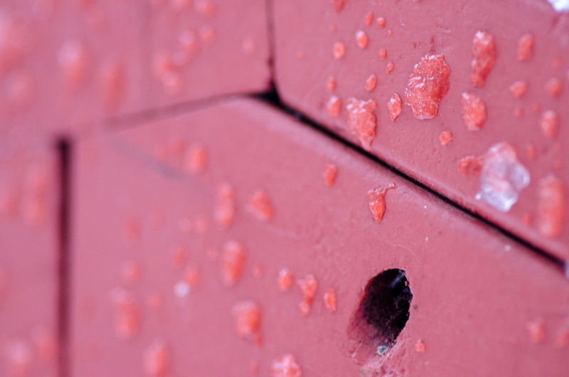education, leaf, single object, 4K, droplet, hole, slug, old, macro, contact lens, drawer, close-up, ice, backgrounds, purple, selective focus, furniture