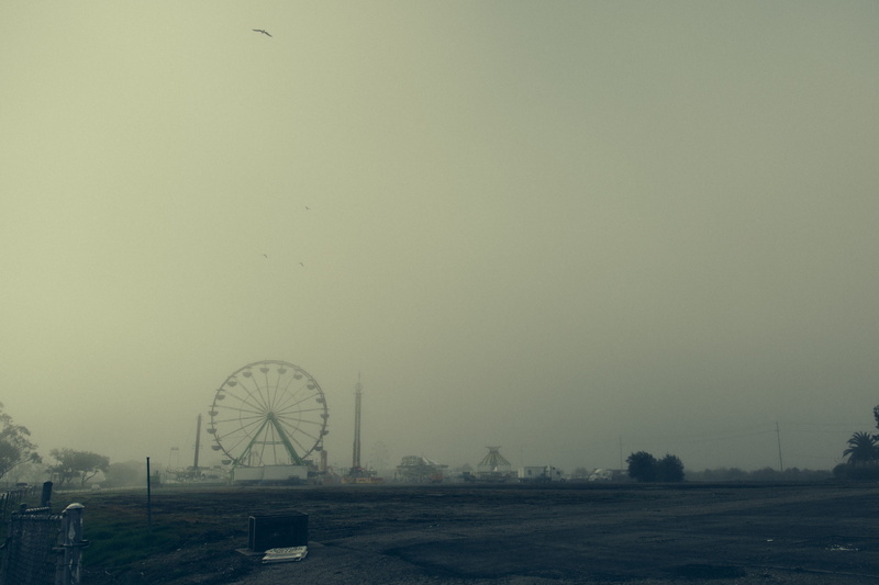 no people, 4K, tree, field, foggy, nature, halloween, fog, landscape, environment, amusement park, outdoors, misty, sky, scary story, fright