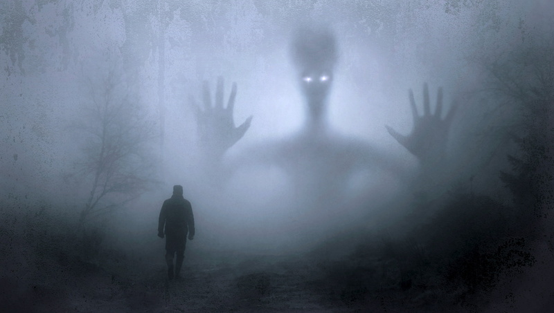 horror, full length, terrified, nature, adult, people, silhouette, fog, fantasy, dark, artistic, emotion, men, aggression, solitude, forest, 4K, evil