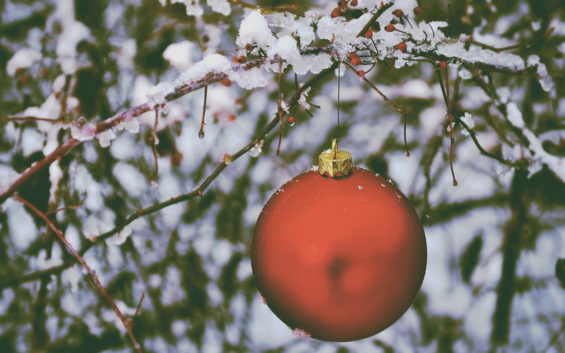 ripe, christmas, growth, hanging, focus on foreground, 1080P, nature, outdoors, no people, christmas ornament, food, food and drink, Christmas ornaments 