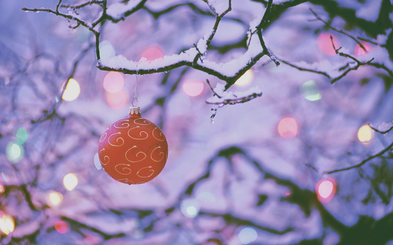 christmas, red, focus on foreground, decoration, christmas decoration, holiday, holiday - event, nature, Christmas ornaments , tree, christmas ornament