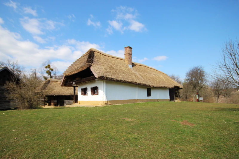 plant, cloud - sky, museum, no people, thatched Roof, green color, vas geography stubs, outdoors, landscape, grandma, residential district, building, house