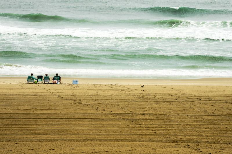 virginia beach, ocean, persons, sea waves, animal, sand, vacations, men, scenics - nature, group of people, us, beauty in nature, nature, holiday, wave