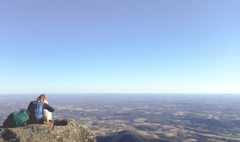 top of the mountain, trail, sitting, looking at view, relaxation, tranquil scene, tranquility, scenics - nature, russ, va, sharp top, applachian, one person