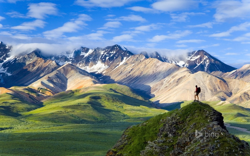 nature, 1080P, hd, denali, landscape, national, park