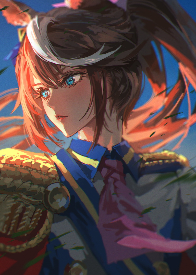bicolored hair, 2D, Tokai Teio (Uma Musume), sunlight, bangs, Uma Musume Pretty Derby, artwork, looking away, clear sky, brunette, fan art, anime, 1080P