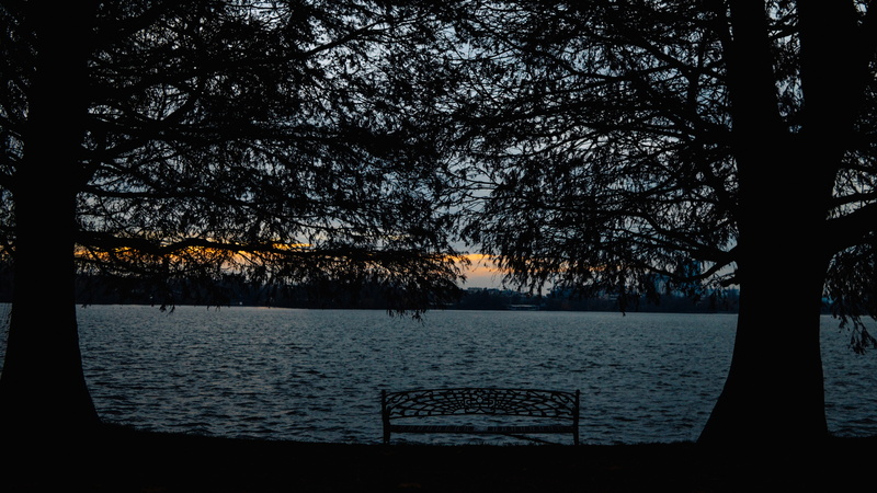 plant, 5K, beauty in nature, idyllic, scenics - nature, lake, tranquil scene, bench, tranquility, silhouette, outdoors, growth, water, sky, romania, trees