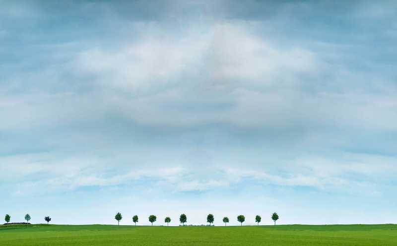 sky, Green, beauty in nature, tranquil scene, Tree, lorraine, epernay, France, Grass, non-urban scene, Countryside, 135mm, environment, cloud - sky, Champagne