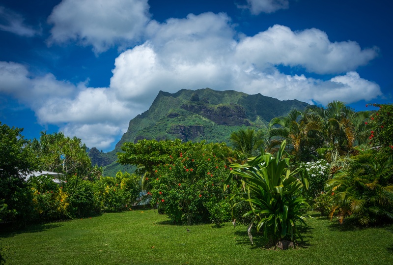 island, french polynesia, tropical, environment, travel, sky, blue, outdoor, tourism, idyllic, tropical climate, plant, day, outdoors, green, view, paradise