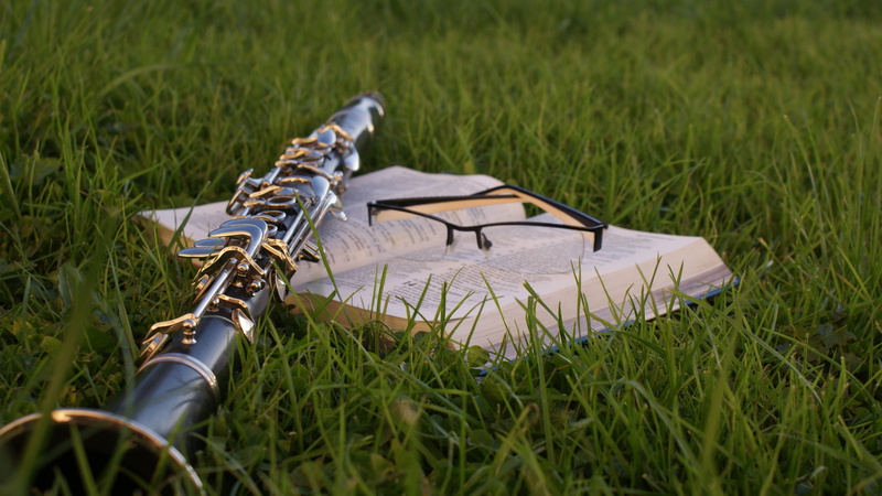 growth, no people, land, book, clarinet, green color, sunlight, metal, selective focus, photo, paper, 4K, bible, leather, plant, focus on foreground, music