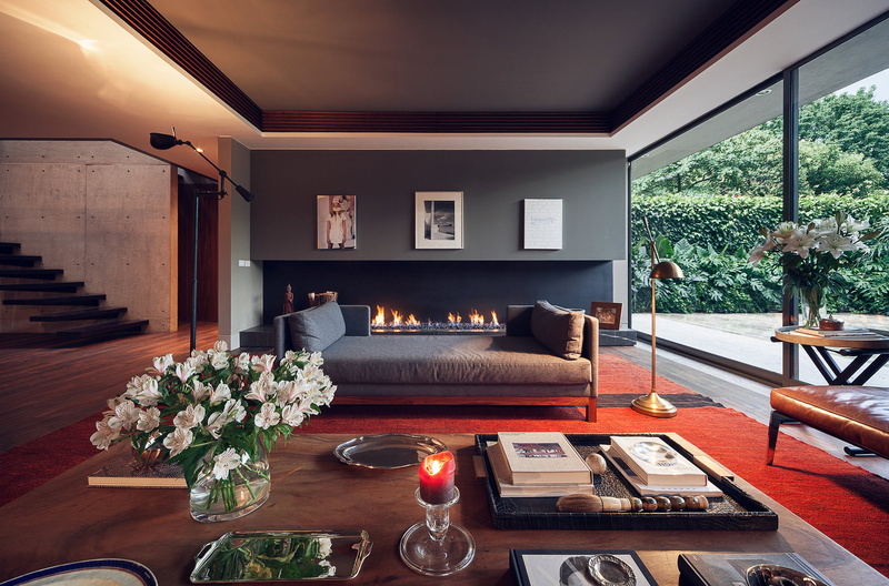 design furniture, home showcase interior, sofa, wood - material, luxury, plant, day, furniture, nature, table, domestic room, living room, Interior, fireplace