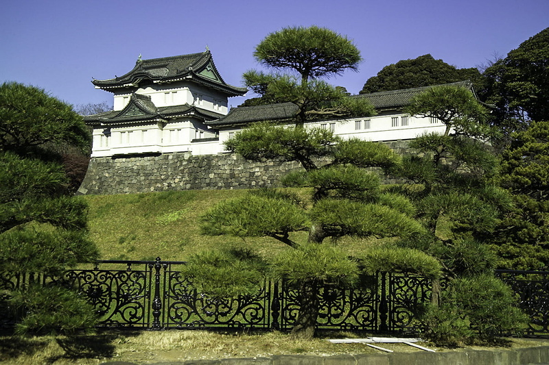 history, Japan, temple, day, japanese Culture, building, public domain, outdoors, japan, growth, sky, no people, travel destinations, ancient, Tokyo, architecture
