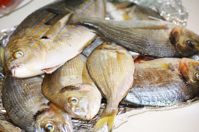provence, food, sea bream, for sale, day, sar, healthy eating, fish, sale, high angle view, no people, 4K, raw food, catch of fish, food and drink, close-up