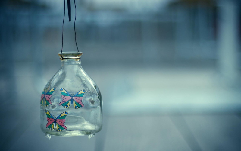 patterns, 1080P, butterfly, glass, bank