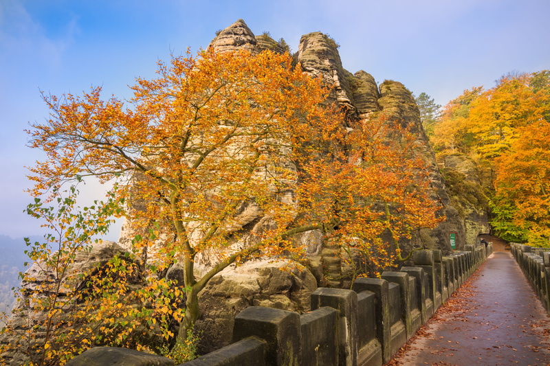 beauty in nature, elbe sandstone mountains, outdoors, religion, travel destinations, 5K, plant, saxon switzerland, sunrise, leaf, bastei, built structure