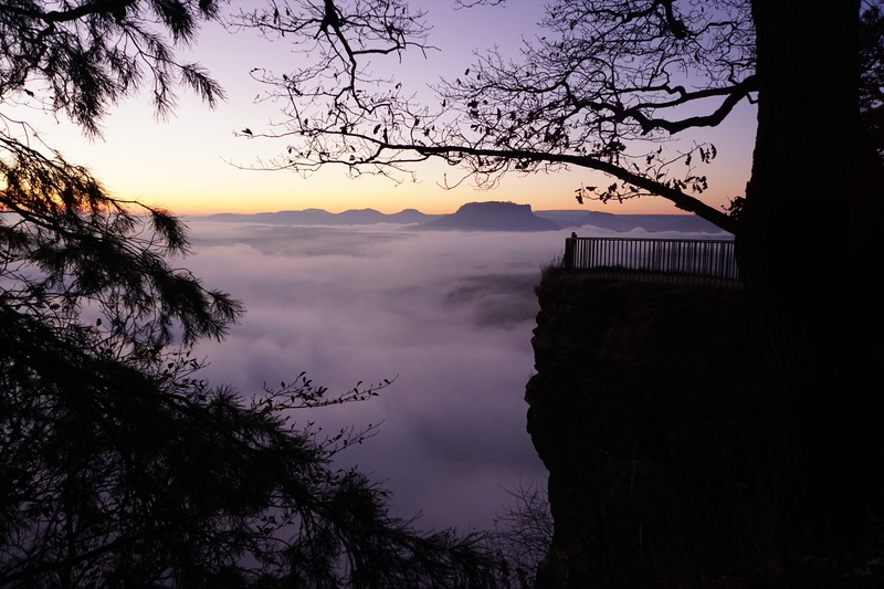 branch, waters, tree, landscape, outdoors, water, sunset, tree trunk, saxon switzerland, saxony, mountain, idyllic, cloud - sky, nature, trunk, bastei