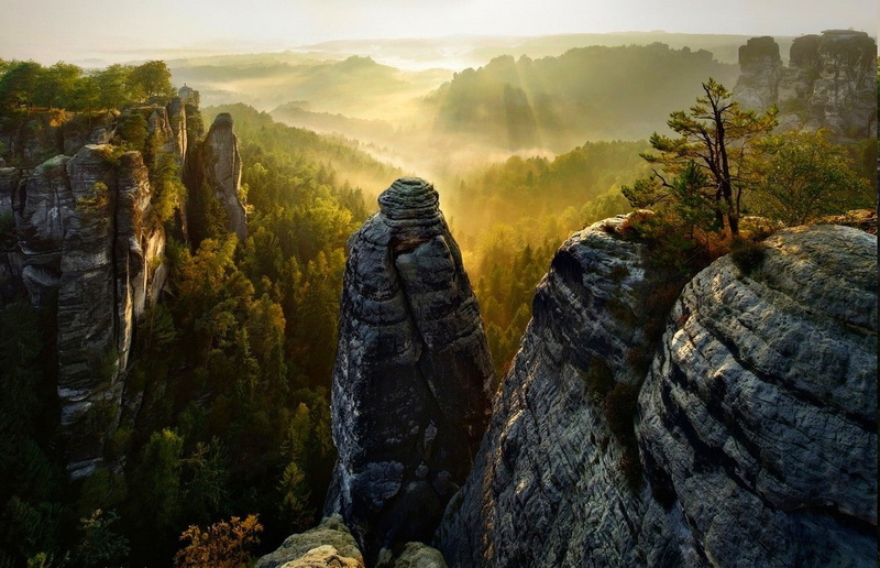 forest cliff mist valley trees sunrise sun rays saxon switzerland mountain nature landscape, 720P