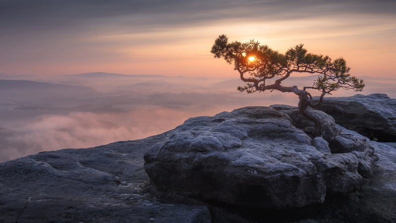 Elbe Sandstone Mountains, sunset, National Park Saxon Switzerland, pine, tree, Saxon Switzerland National Park, 1080P, panorama, mountains, Saxony, Germany