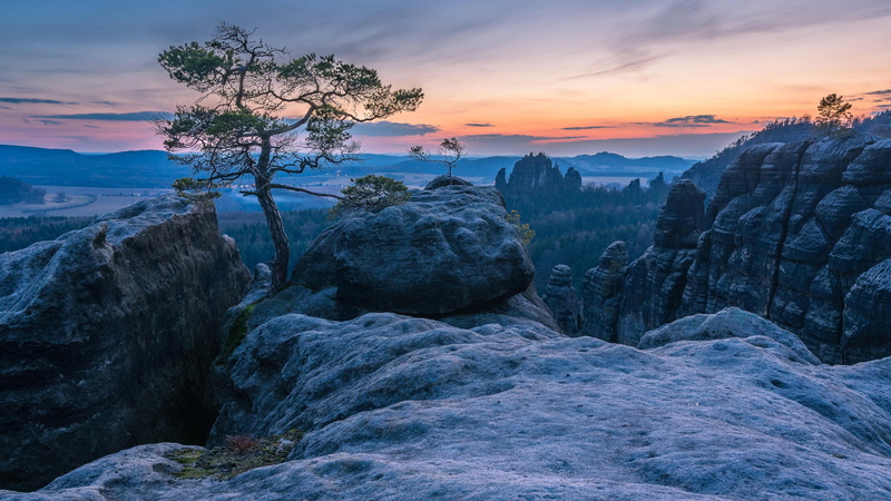 lone tree, plant, rock formation, rock - object, beauty in nature, sunset, solid, lonely tree, germany, no people, cloud, environment, non-urban scene