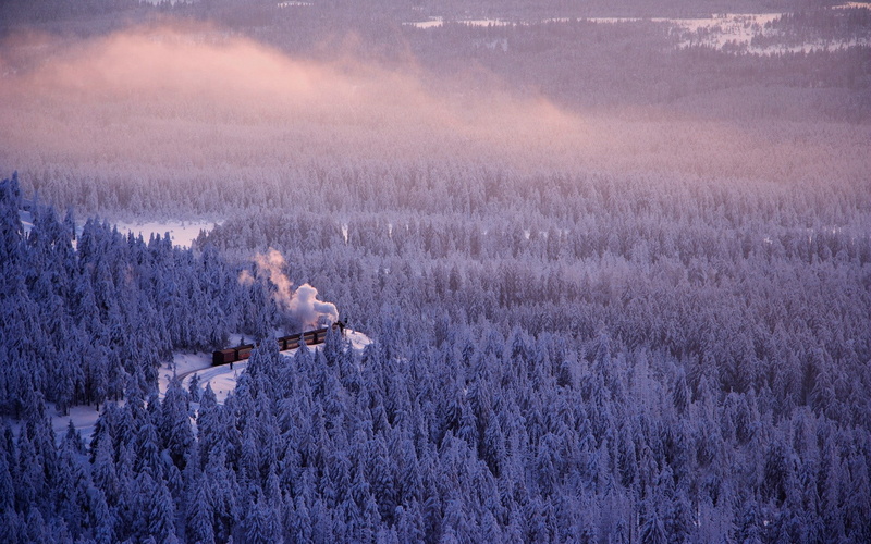 mist, trees, landscape, winter, 1080P, Germany, forest, train, railway, smoke, saxonia, cold, nature, pine trees, snow
