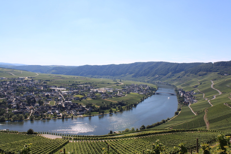 winegrowing, landscape, agriculture, beauty in nature, scenics - nature, plant, outdoors, land, river, rural scene, no people, blue, clear sky, mosel, copy space