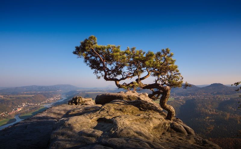 solid, non-urban scene, Tree, Photo, blue, climate, Mountains, environment, mountain, arid climate, rock, Scenery, Hike, clear sky, tranquil scene, 5K