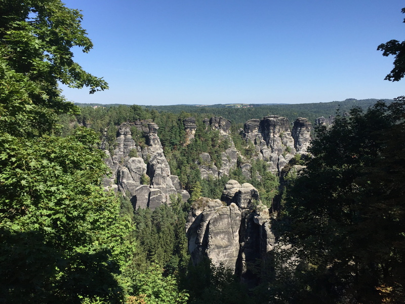 day, saxony, rock, sand stone, non-urban scene, sandstone rocks, stone formation, outlook, growth, climb, sky, green color, land, outdoors, clear sky, beauty in nature