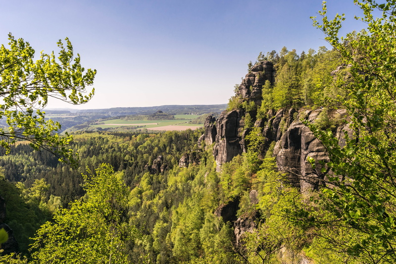 pine tree, distant view, elbe sandstone mountains, saxon switzerland, 5K, plant, beauty in nature, land, environment, mountains, coniferous tree, mountain