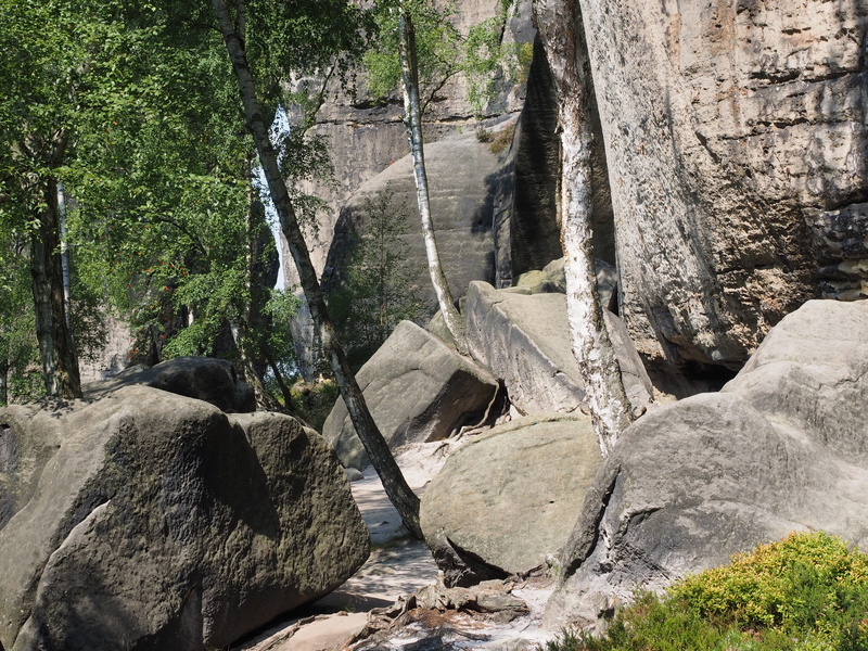 day, tree, scenics - nature, non-urban scene, land, rock, rock blocks, rock - object, flowing water, water, elbe sandstone, rock formation, nature, landscape