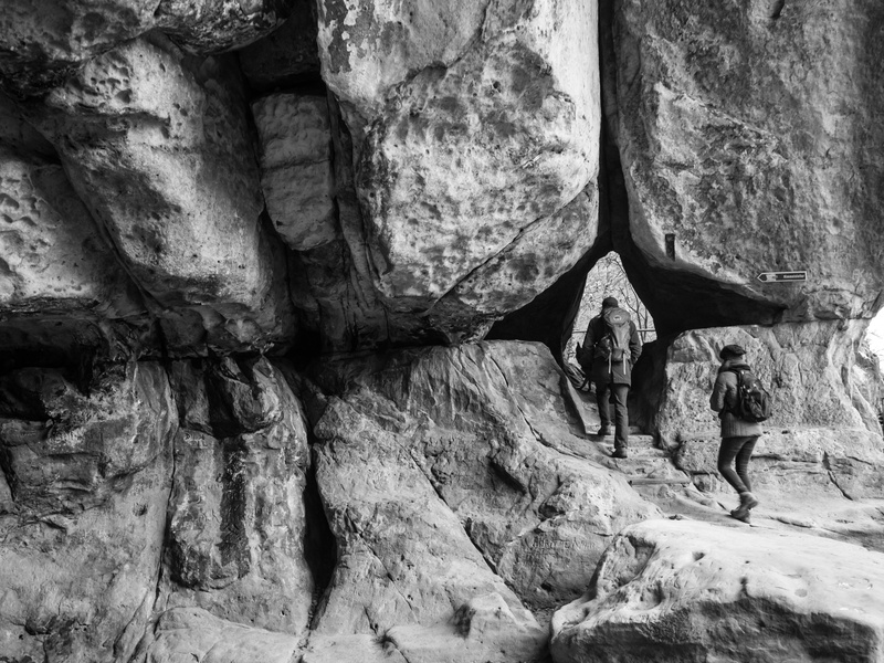 rough, foresight, saxony, architecture, animal wildlife, textured, 5K, vertebrate, rock, sky, nature, panorama, summit, physical geography, mountain, stone formation
