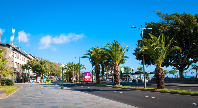 outdoors, sun, sky, plam, trees, building exterior, plant, built structure, road, sunlight, architecture, city, palm tree, 4K, day, street, blue, tree