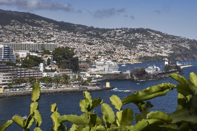 city, tourism, no people, island, portugal, outdoors, cityscape, water, built structure, funchal, day, view, lake, panorama, holiday, town, plant, travel