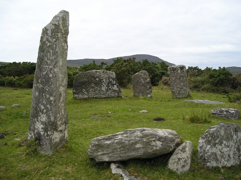 plant, Ireland, Stone Circle, day, old ruin, rock formation, archaeology, ancient, land, grass, mystery, place of worship, mystical, outdoors, solid, megalithic structure