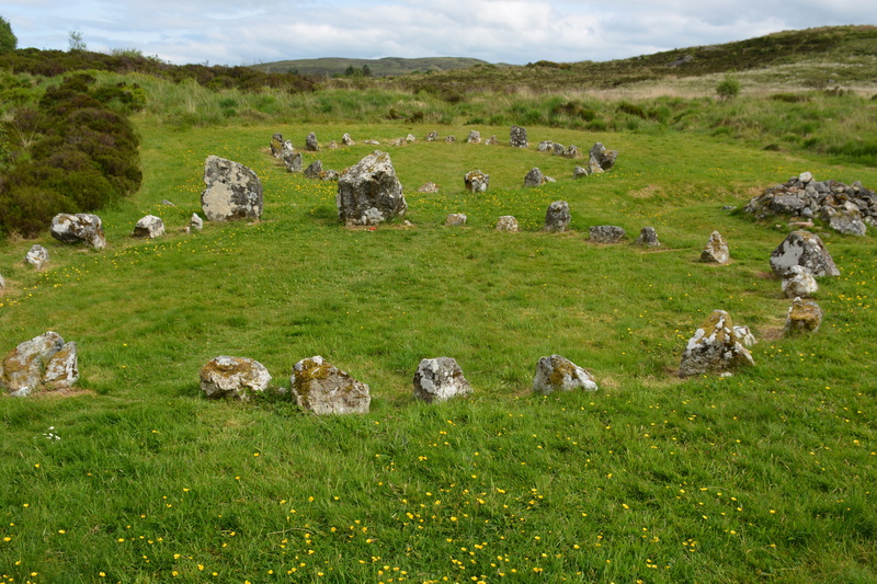 domestic, no people, grass, placed, circle, rock, animal, outdoors, Stone Circles, mammal, plant, formation, livestock, field, solid, land, day, 5K, group of animals