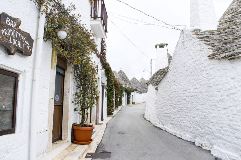 alley, narrow, white, footpath, residential district, outdoors, tree, building, plant, street, winter, the old palace, built structure, road, puglia, the way forward