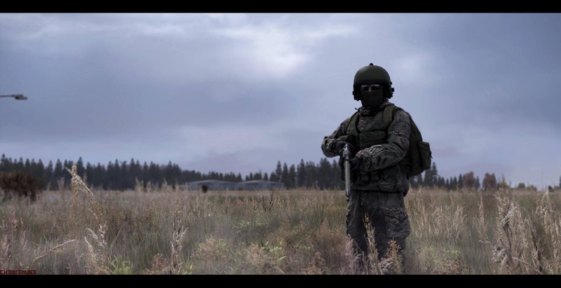 weapon, special forces, field, transfer print, gun, government, DayZ, uniform, nature, cloud - sky, plant, armed forces, outdoors, sky, army soldier, clothing